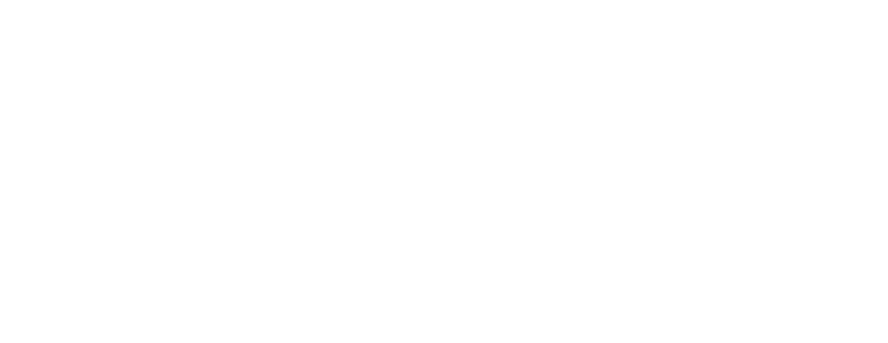 Digital Fusion